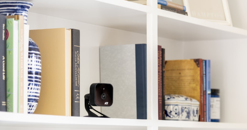 adt Indoor security cameras in West Bloomfield